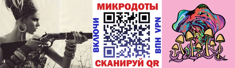 хочу   Николаевск-на-Амуре  kraken ТОР  Галлюциногенные грибы Psilocybe 